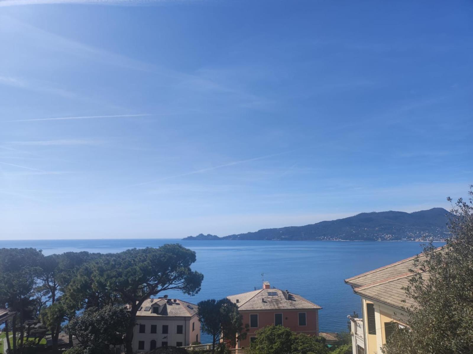 Al Mare Davanti A Portofino - By The Sea In Front Of Portofino Zoagli Kültér fotó